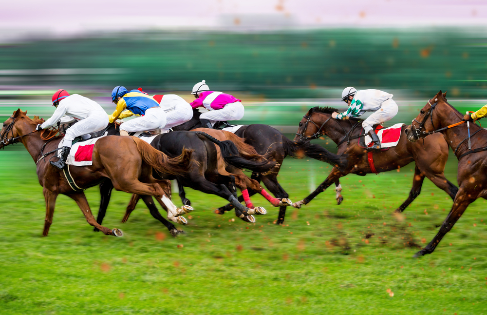 jockeys riding horses in a race