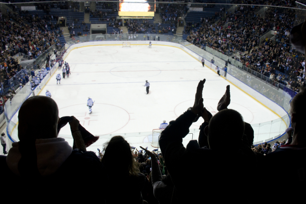 fans look on and applaud the game taking place in a hockey stadium